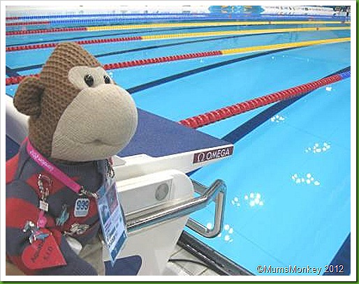 Aquatic Centre Diving Blocks London 2012