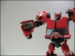 Cliffjumper (20)