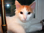 DSCF0644.JPG