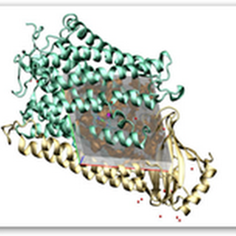 AIDS Experts at Johns Hopkins and Harvard Develop the First Accurate Computer Simulation to Explain Drug Effects and Viral Mutations With HIV