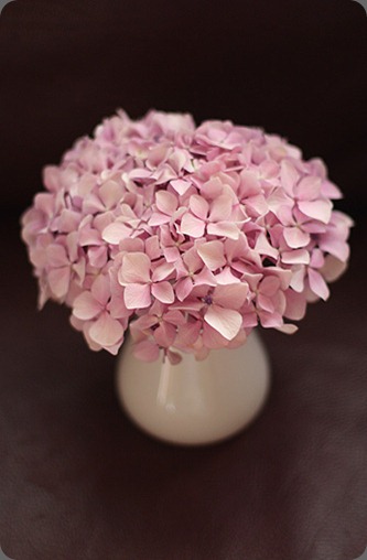 5344827219_6ebd94d715 Jessica Ruisan photography 5344827219_6ebd94d715 Jessica Ruisan photography