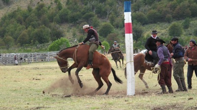 IMG 4768