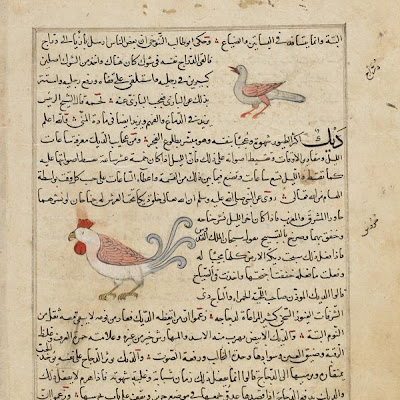 Folio from Aja'ib al-makhluqat (Wonders of Creation) by al-Qazvini; recto: Bat (Kuffash); verso: Francolin (Daraj), Rooster (Dik) | Origin: Iraq or Eastern Turkey | Period: early 15th century | Details: Not Available | Type: Opaque watercolor, ink and gold on paper | Size: H: 32.7 W: 22.4 cm | Museum Code: F1954.100 | Photograph and description taken from Freer and the Sackler (Smithsonian) Museums. 1c3233a8f85c400fa2603f8a6ae3b312.jpg