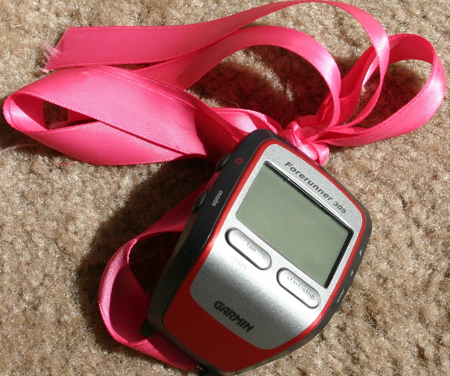 [Garmin%2520ribbon%255B4%255D.jpg]