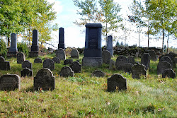 Židovský hřbitov Olšany - pohled 2