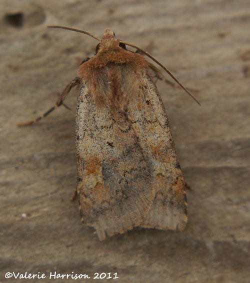 [small-square-spot2.jpg]