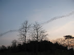 IMG_1011.JPG