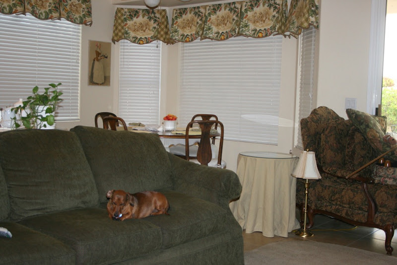 shabby 024-1