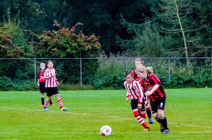 2013101005 - WVV D4 - NOORDSTER D2 - 003.jpg