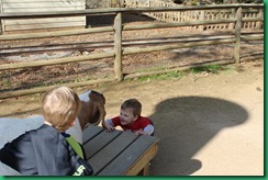 ty talking to goat ty talking to goat