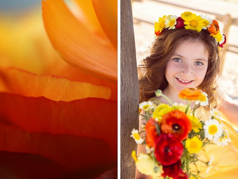 orange county family lifestyle photographer-2 orange county family lifestyle photographer-2