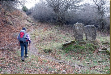 I "menhir" delle Fontanacce I "menhir" delle Fontanacce