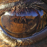 Morocco - SaharaExcursion54.JPG