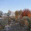 DSC00420.JPG