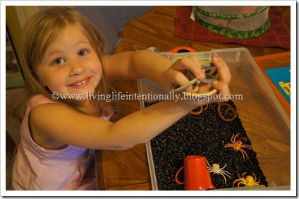 Bug Sensory Bin for Preschoolers Bug Sensory Bin for Preschoolers