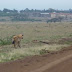 P1090544