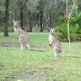 DSCF5825.JPG