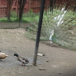 P1090692.JPG