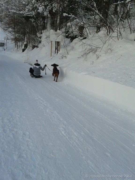 [20131227_1412134.jpg]