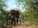 South Africa - 160.JPG