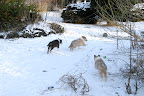 _DSC0050.JPG