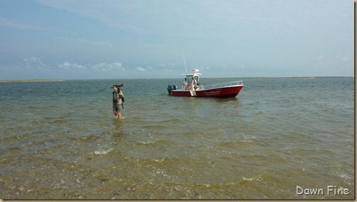 birding south beach_002 (1)