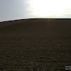 dsc06314.jpg