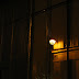 IMG_6539.JPG
