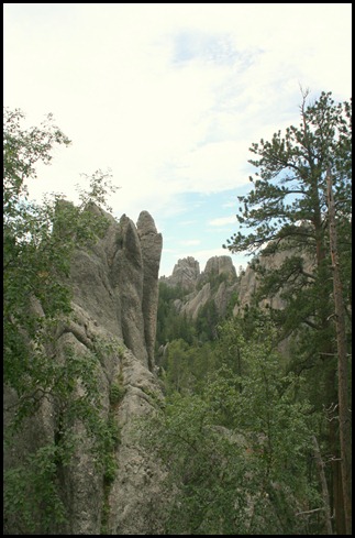 IMG_8804 IMG_8804