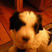 DSCN0153.JPG
