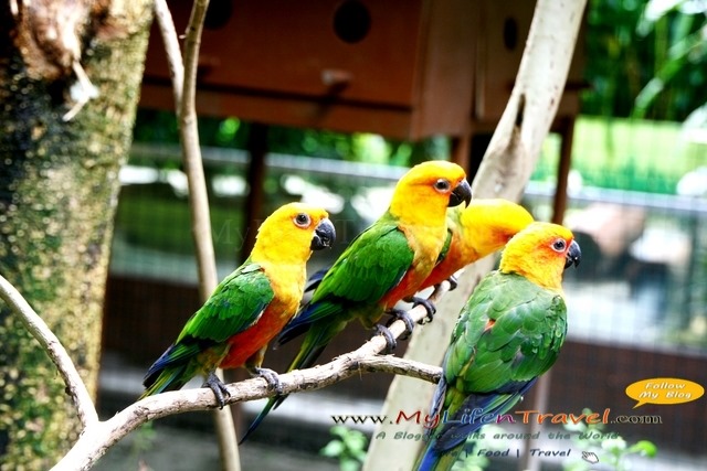 Langkawi Wildlife Park Langkawi Wildlife Park