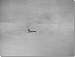 Citizen Kane Sledding Citizen Kane Sledding