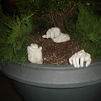 DSC00410.JPG
