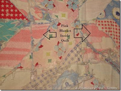 A Primitive Place ~Tammy
