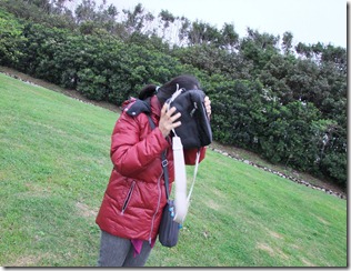 DSCF3601 DSCF3601