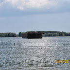 IMG_4299.JPG