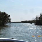 IMG_7962.JPG