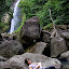 Allaitement dans la nature