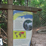 The Eurasian Lynx sign at the Nashville Zoo 09032011