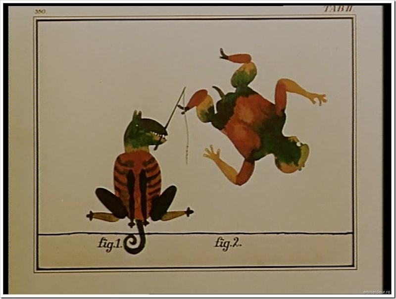 jan svankmajer et cetera 1966 emmerdeur_76 jan svankmajer et cetera 1966 emmerdeur_76