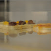 DSC_1924.jpg