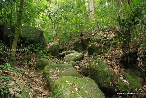 gunung_gading_summit_hike_05