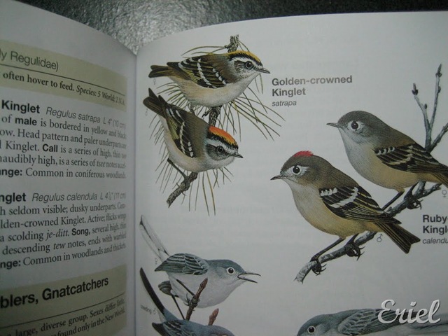 [gG%2520079%255B19%255D.jpg]