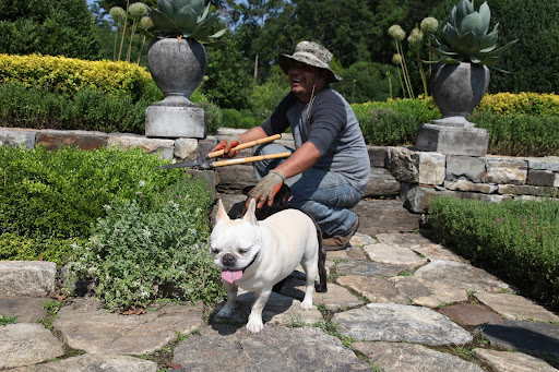 Wilmer, you're such a good sport to not let our nagging get to you!  We just want the farm to look beautiful!