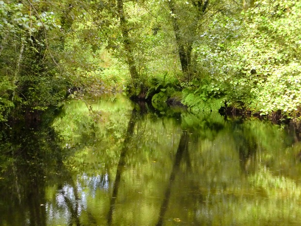Tirantes05