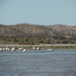 View album