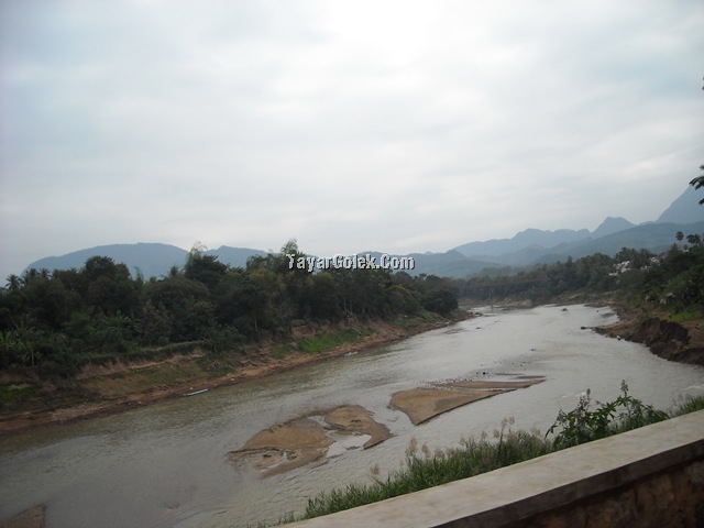 [DSCN803211.jpg]