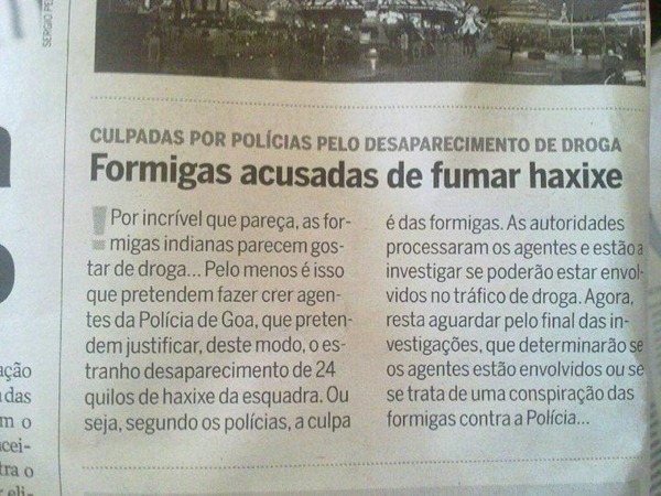 chinfra_incrivel