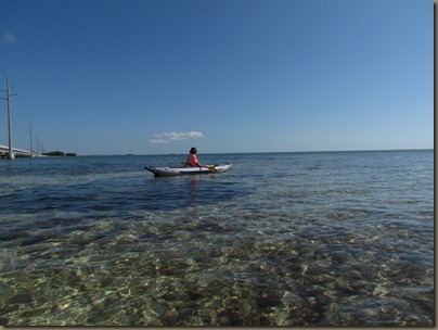 IMG_8724 IMG_8724