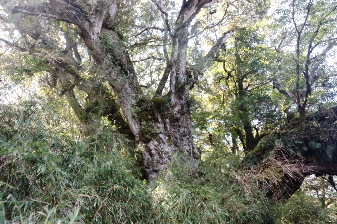 2014_1005_102917 2014_1005_102917